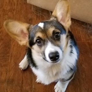 Meet your Posher, Lori